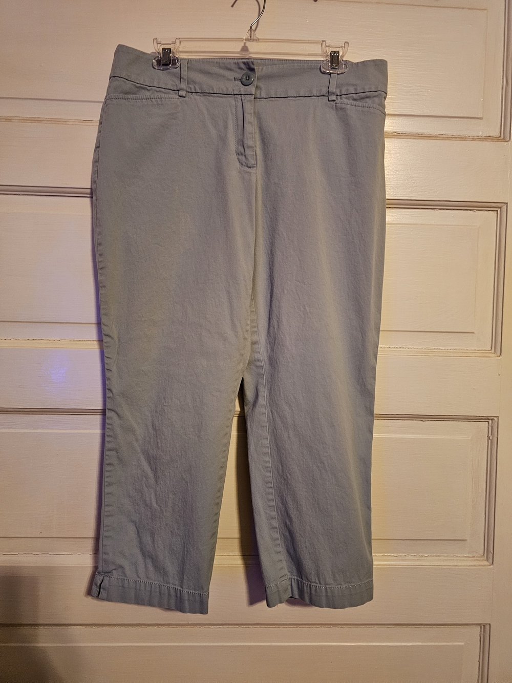 LOFT Curvy Crop Pants Light Blue Gray Size 10 Capris